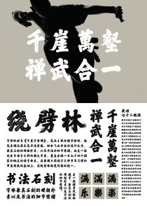 FZ Shao Lin Gong Fu Ti